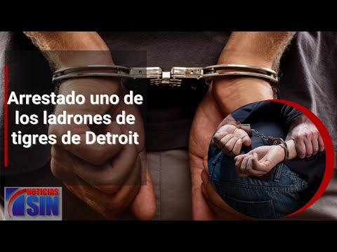 #EmisiónEstelarSIN: Asalto, vivienda y arressto