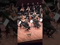 Cat interrupts performance at Istanbul Music Festival