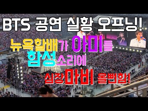 4k 초고화질 BTS 방탄소년단 뉴져지 공연 오프닝 뉴욕할배 심장마비 올뻔 구독자 1000명 감사 Dionysus Not today