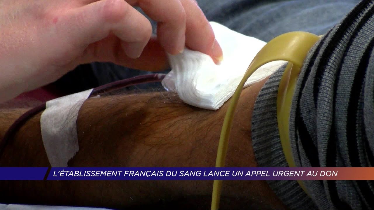 Yvelines | L’établissement français du sang lance un appel urgent au don