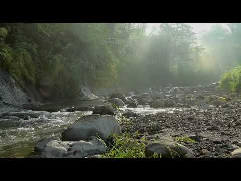 Chiếc Bình Nứt – Khi khiếm khuyết trở thành ân phúc