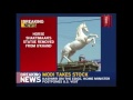 Statue Of Police Horse, Shaktimaan Removed From Uttarakhand  - 03:22 min - News - Video