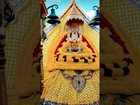 #Jay Shri Shyam Baba ji 🙏🏻🙏🏻🙏🏻🙏🏻🙏🏻🙏🏻🙏🏻🙏🏻🙏🏻🙏🏻🙏🏻🙏🏻🙏🏻