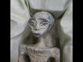The truth is out there: the Peruvian grave robbings at the center of ‘alien’ claims  - 18:04 min - News - Video