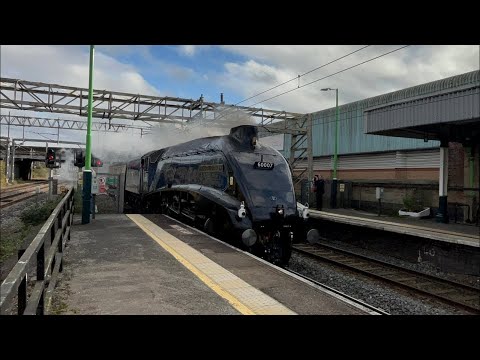 60007 ‘Sir Nigel Gresley’ passes Nuneaton with a whistle on 5Z98 23/10/24