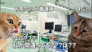 【猫ミーム】チーム医療に蔓延るお局看護師の実態　#vtuber  #医師解説 #catvtuber