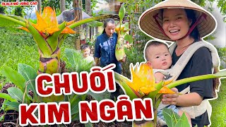 Hôm Nay Cùng Hai Mẹ Con Shan Tuyết Hái Loài Hoa 3 Năm Mới Có 1 Bông Nha | Ôlala-Đồ Vùng Cao