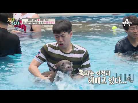 독희를 닮은(?) 독희 친구들의 수영 실력은?!