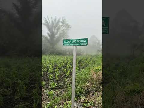 Pulau Timur Indonesia #ntt #bajawacoffeebeans #baksocakrosojonggol #flores