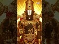 Kalyana Srinivasam || Swamivaari Utsavalu Telugu Devotional Video Song || Mallikarjun #venkateswara
