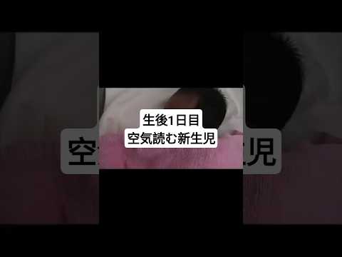 生後1日目の新生児。パパの要望に答え一瞬目を開ける。 #新生児 #赤ちゃん #産まれたて #産婦人科 #産院 #かわいい #にっこり #ほっこり #天使 #ヒーリング、ベビー、