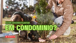 Quais árvores plantar em Condomínio?