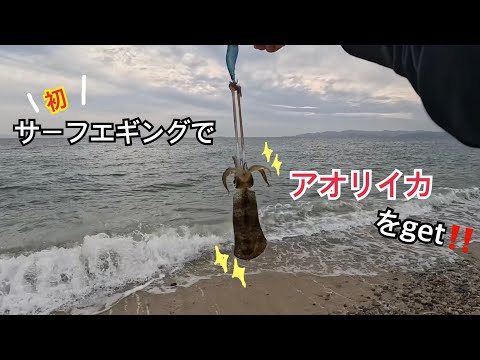 【エギング】砂浜からエギングに初挑戦🎣相変わらず、当たりが難しい。。