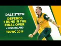 Dale Steyns stirring spell stuns New Zealand | T20WC 2014