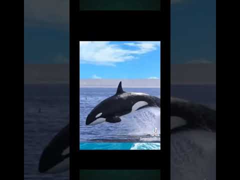 @penduduk-mars #balasdendam