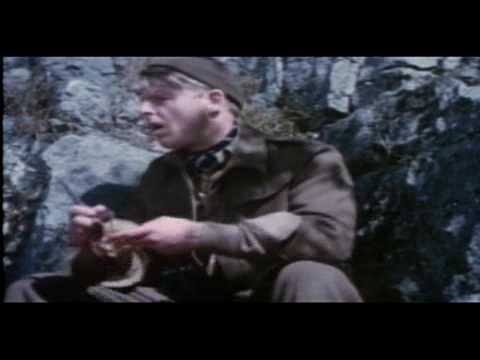 Force 10 from Navarone'