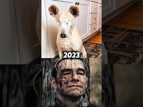 Dog sad moment 😢💔 ( dogsad ) #shorts #short #sad #dog #dogshorts #viral #shortsfeed