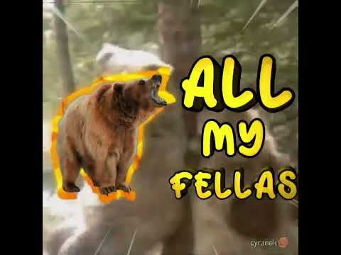 all my fellas #bears
