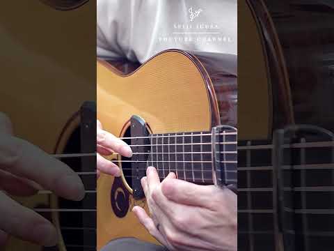 Acoustic guitar that can use a capo on the 12th fret