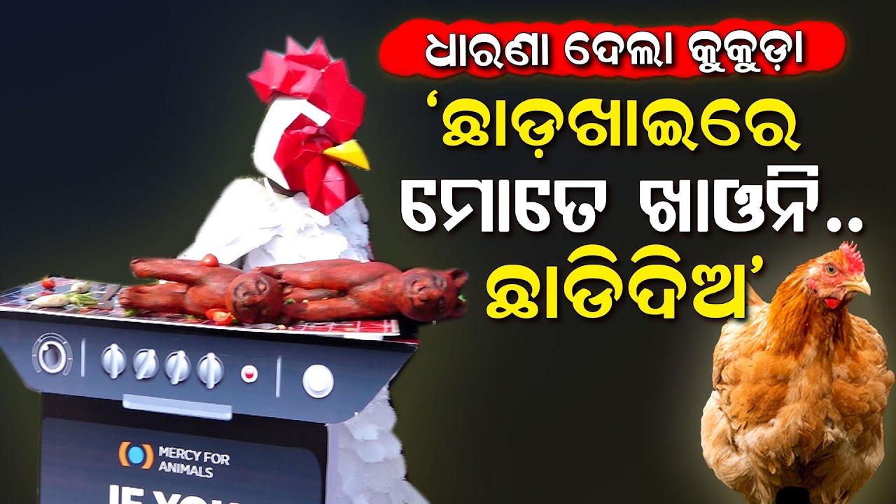 "ଏ ଛାଡ଼ଖାଇରେ ମୋତେ ଖାଅନି " ପଶୁପକ୍ଷୀଙ୍କ ପ୍ରତି ହେଉଥିବା ହିଂସାର ପ୍ରତିବାଦରେ ନିଆରା ପ୍ରତିବାଦ