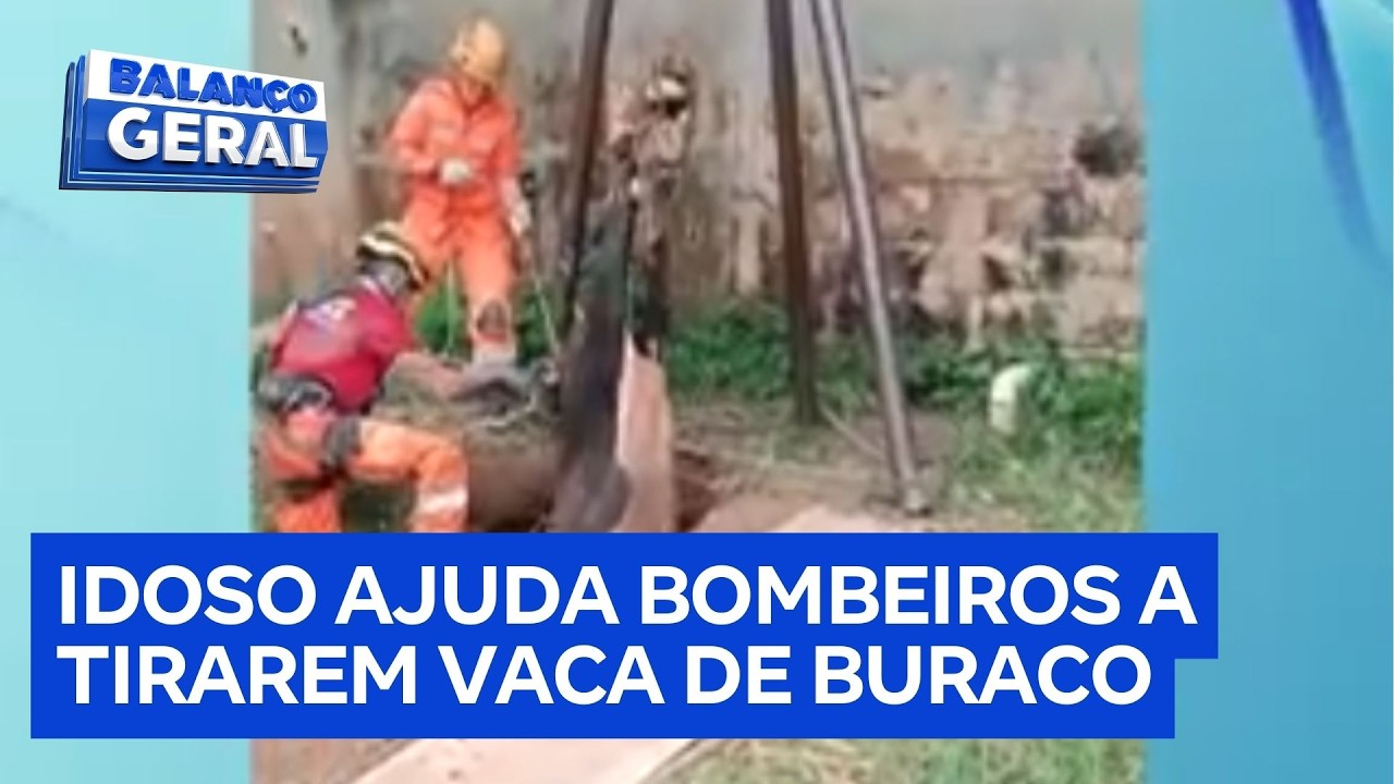 Idoso “curioso” percebe movimentação e ajuda bombeiros a salvar vaca presa em buraco