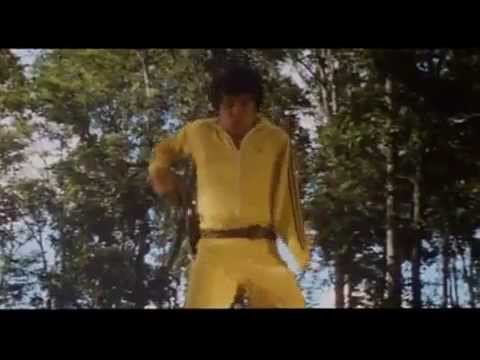 The One Armed Executioner'