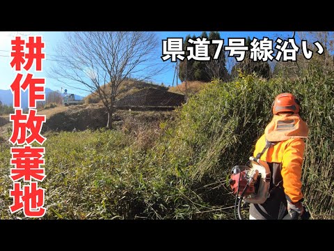 隣の耕作放棄地｜ラジコンのプロポ充電切れで手で刈る！九十九島せんぺいです