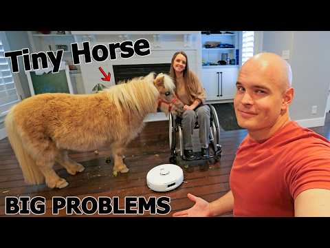 The Biggest Problem with our Indoor Horse...