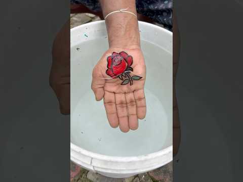 How to draw magical Rose 🌹 step by step for beginners #art #shorts