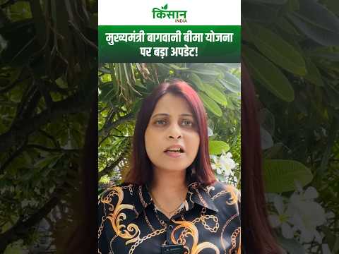 Mukhya Mantri Bagwani Bima Yojana परआ गया बड़ा अपडेट, जल्दी करें आवेदन!। Haryana crop insurance