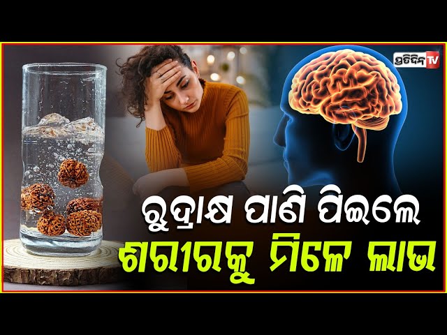 ରୁଦ୍ରାକ୍ଷ ପାଣି ପିଇଲେ ଶରୀରକୁ ମିଳେ ଏକାଧିକ ଲାଭ; ଜାଣନ୍ତୁ ବିଶେଷଜ୍ଞଙ୍କ ମତ!Rudraksha Water Therapy Benefits