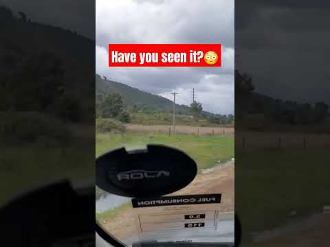 #nature #shortsvideo #shorts #shortsviral #shortsbeta