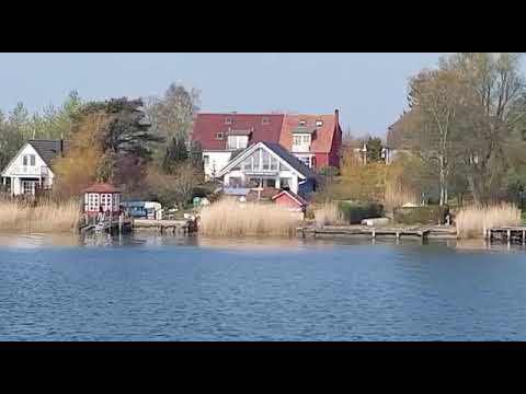 Video realizado por la propiedad