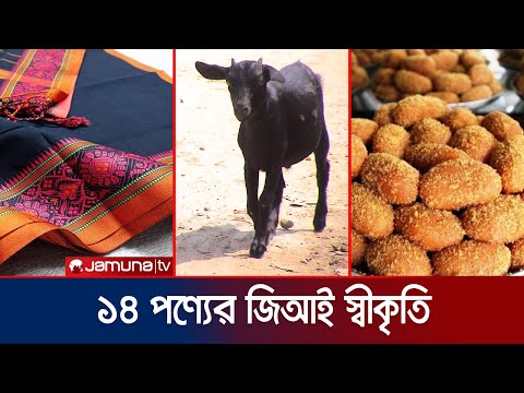 বাংলাদেশে জিআই হিসেবে স্বীকৃত পেল আরো ১৪টি পণ্য | 14 GI Product | Jamuna TV