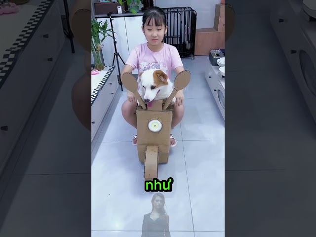 Chuyến Phiêu Lưu Xe Scooter Điên Rồ Ở Sài Gòn Cùng Mun Mun & Lu! 😱 Hỗn Loạn Không Thể Bỏ Lỡ!