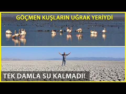20 Bin Su Kuşuna Ev Sahipliği Yapıyordu! Marmara Gölü'nün Son Hali Yürekleri Sızlattı