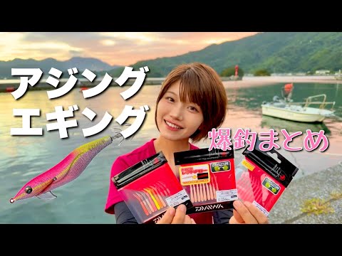 秋の夜長を愉しむアジング＆エギング爆釣回まとめ