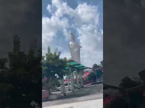 chỉ gì 1 niệm hơn thua. mà đem tâm trí chạy đua với đời. chỉ gì 2 tiếng khóc cười. mà đem đổi cả...