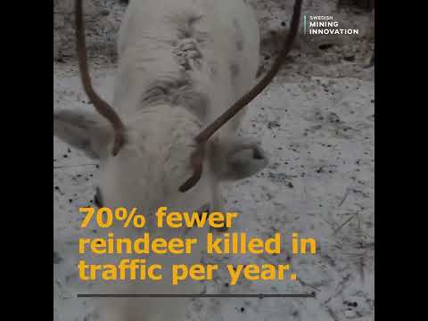 Digging deep: Safe, sustainable transports in reindeer husbandry area