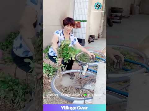 The Ingenuity of These Farmers is NEXT LEVEL! 😂 A Bike AND a Truck Become Peanut Machines! #peanut
