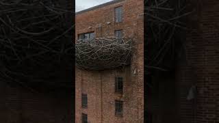 TOP 5 Things To Do In Baltimore Maryland