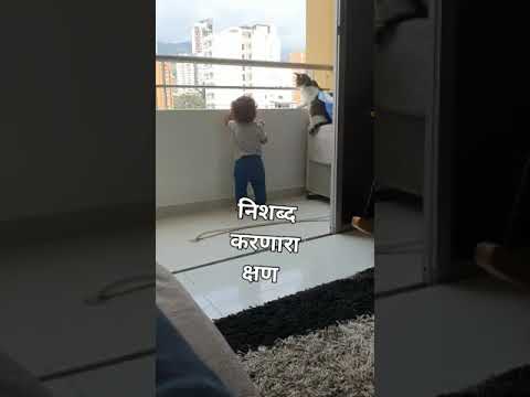 cat protectvs vs baby | #cat #animals #shorts #meowing #billlie #catbaby