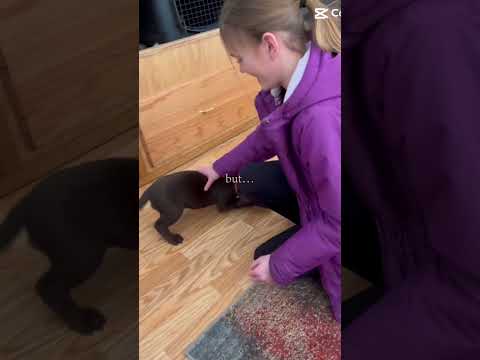 But… #horse #equestrianjourney #horseenthusiast #stopanimalabuse #equestrian #horsefan #horsegirl