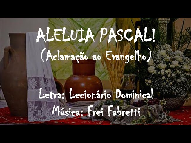 Preview do vídeo