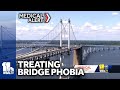 Psychotherapist: Bridge phobia is common, treatable