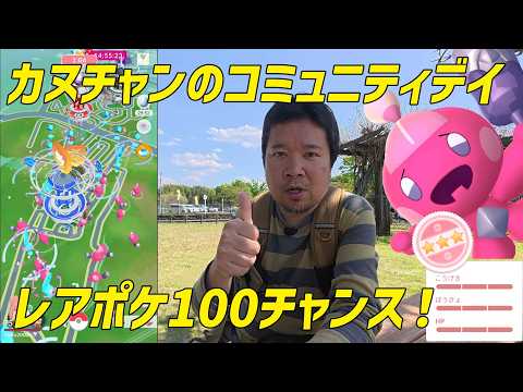 【ポケモンGO】レアポケ大量発生！個体値100の図鑑登録を目指す！カヌチャンのコミュニティデイ