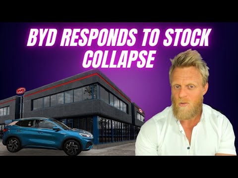 BYD buys back stock after investors spooked by 'blood bath' in China