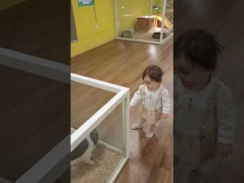아기 꿀꿀이와의 아주 잠깐의 만남!