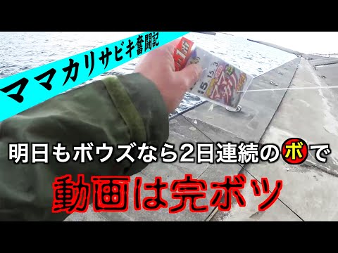 好き者護岸にコハダ堤王が降臨か!? 【2日間にわたるママカリサビキ奮闘記】