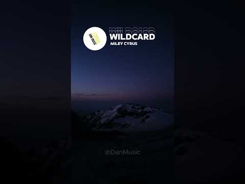 MIley Cyrus - Wildcard #lyrics #songlyrics #lyrics